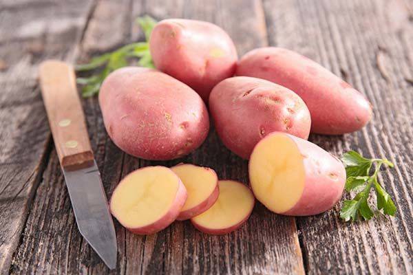 Сорта картофеля — описание, характеристика, регион выращивания