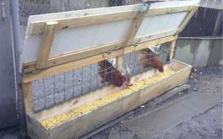 Изготовление кормушки для цыплят бройлеров