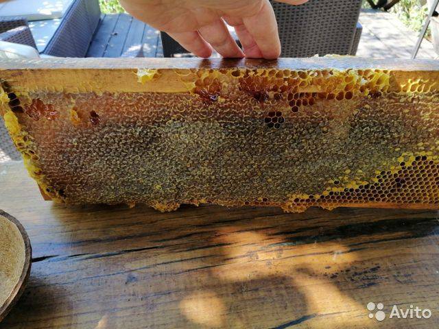 Хранение сотов - начинающему пчеловоду