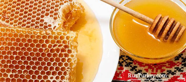 Мед из сосновых шишек: рецепты, польза и вред