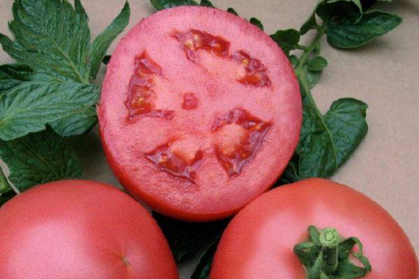 Розовый рай в саду — японский гибридный томат «пинк парадайз»: агротехника, описание и характеристики сорта