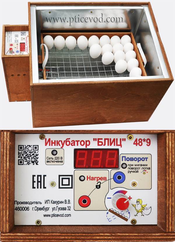 Автоматический инкубатор для яиц: описание, характеристика, принцип работы