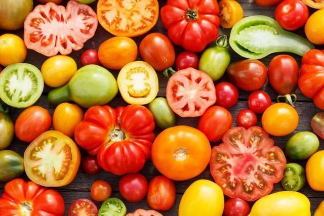 Обзор сортов томатов для выращивания на урале - есть из чего выбрать