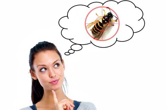 Чего боится пчела: как отравить, отпугнуть, защититься, убить соседских пчел