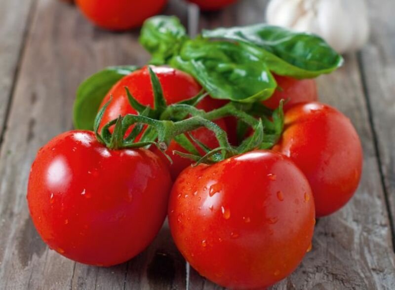 Чем опрыскивать рассаду томатов