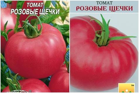 Томат "толстые щечки": описание и характеристика сорта, советы по применению помидор