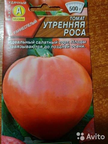 О томате персиановский: описание сорта, характеристики помидоров, посев
