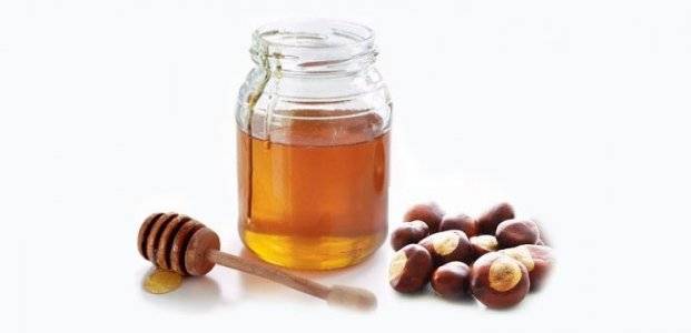 Каштановый мед — полезные свойства и противопоказания, как принимать?