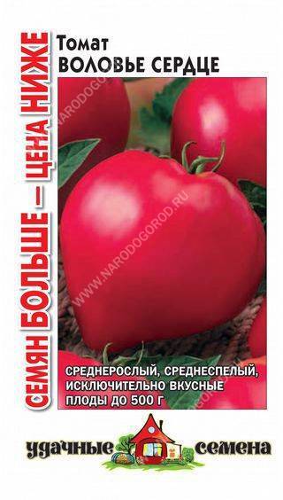 О томате Воловье сердце: характеристики сорта, уход и выращивание