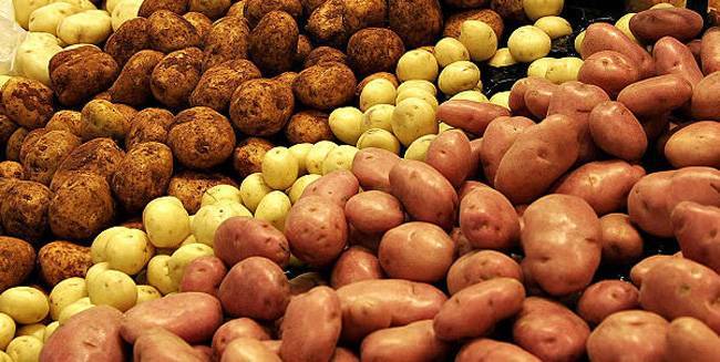 Кумач: описание семенного сорта картофеля, характеристики, агротехника