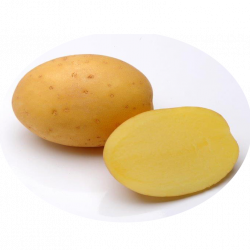 Картофель Мадейра: характеристика и описание сорта