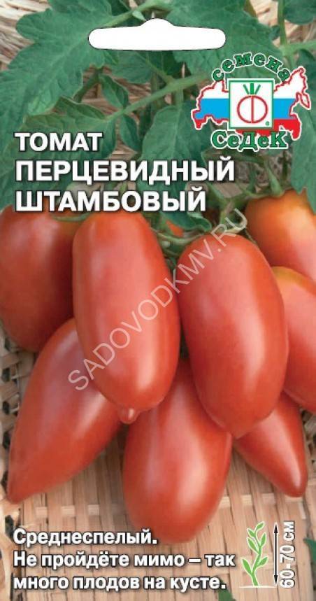 Роза леди оф шалот