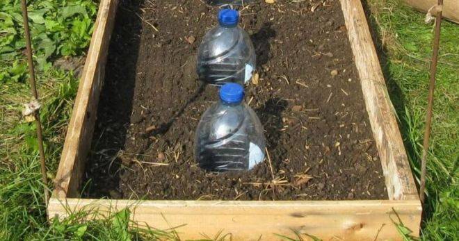 О капельном поливе из пластиковых бутылок своими руками: как сделать