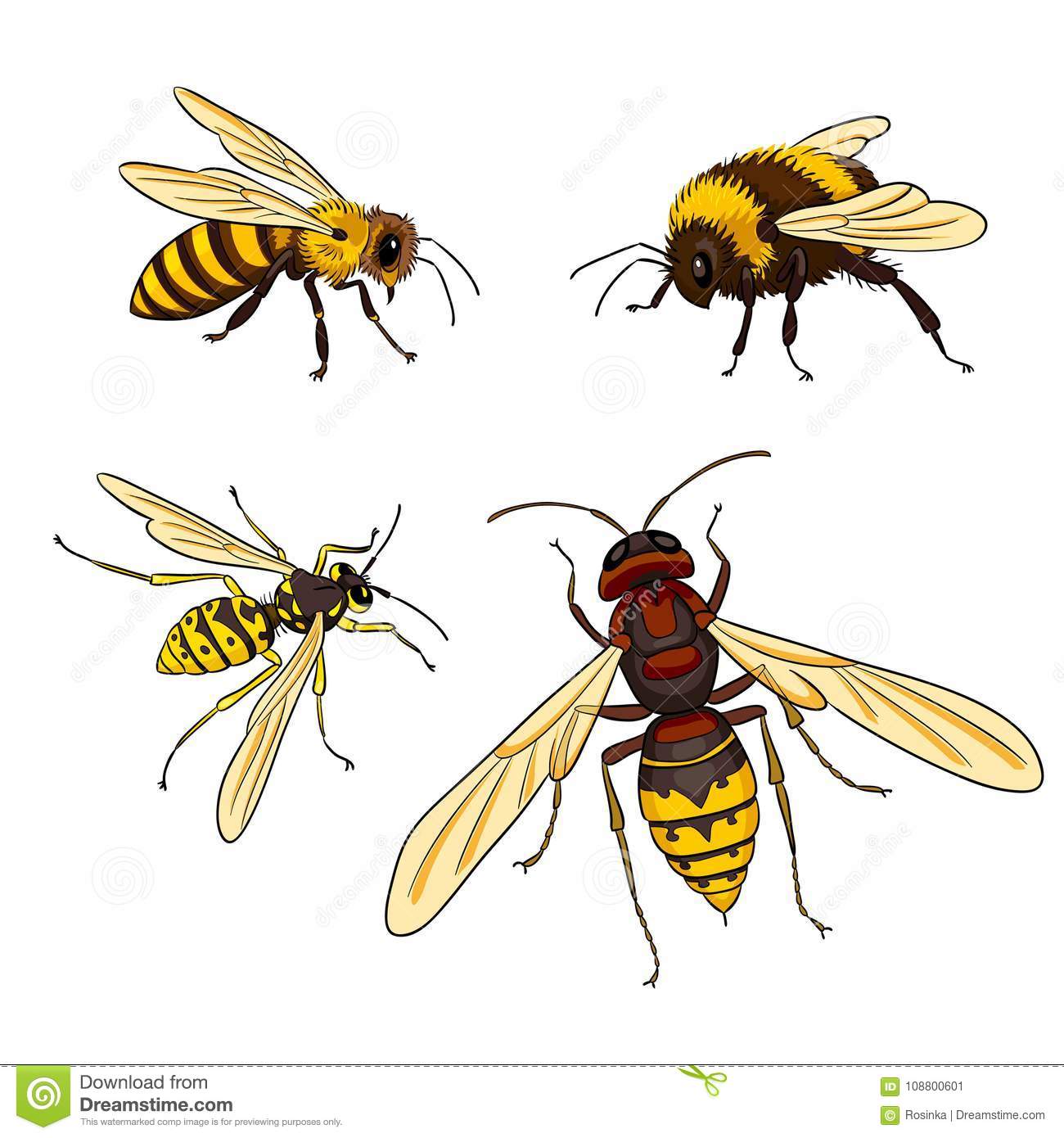 Чем отличается оса от пчелы и шершня