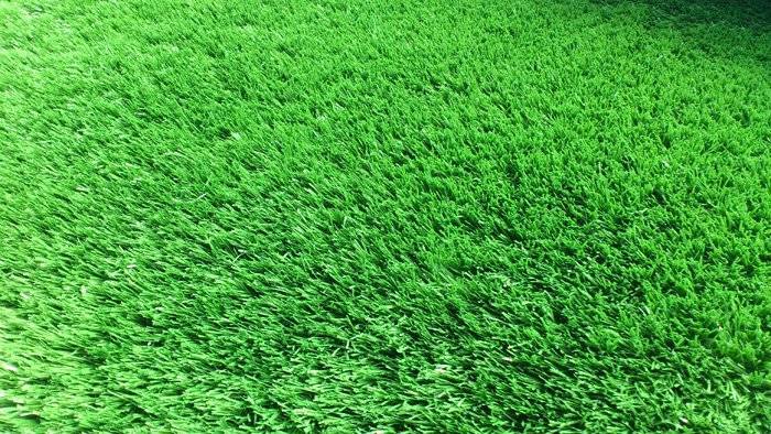 Описание искусственного газона для футбольного поля: как выглядит, свойства