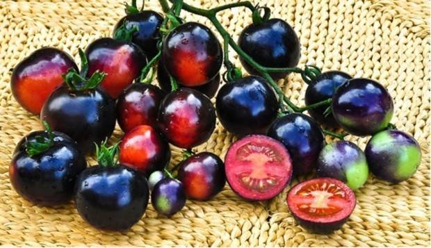 Лучшие сорта черных томатов с фото, описанием и характеристикой