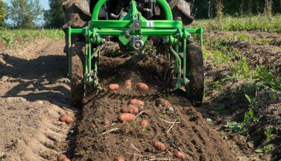 Самодельные картофелекопалки и сажатели для трактора т-25