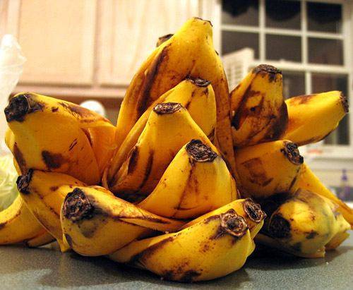 Банановая кожура как удобрение для комнатных растений и овощных культур