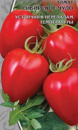 Сибирское чудо: описание сорта томата, характеристики помидоров, посев