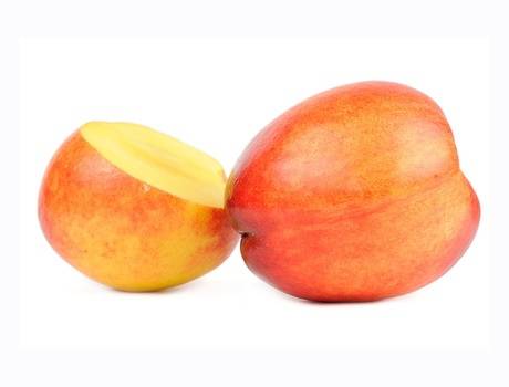 О нектарине, это гибрид персика и чего: описание и характеристика