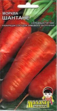 Популярный сорт вкусной моркови — шантане: характеристика и выращивание