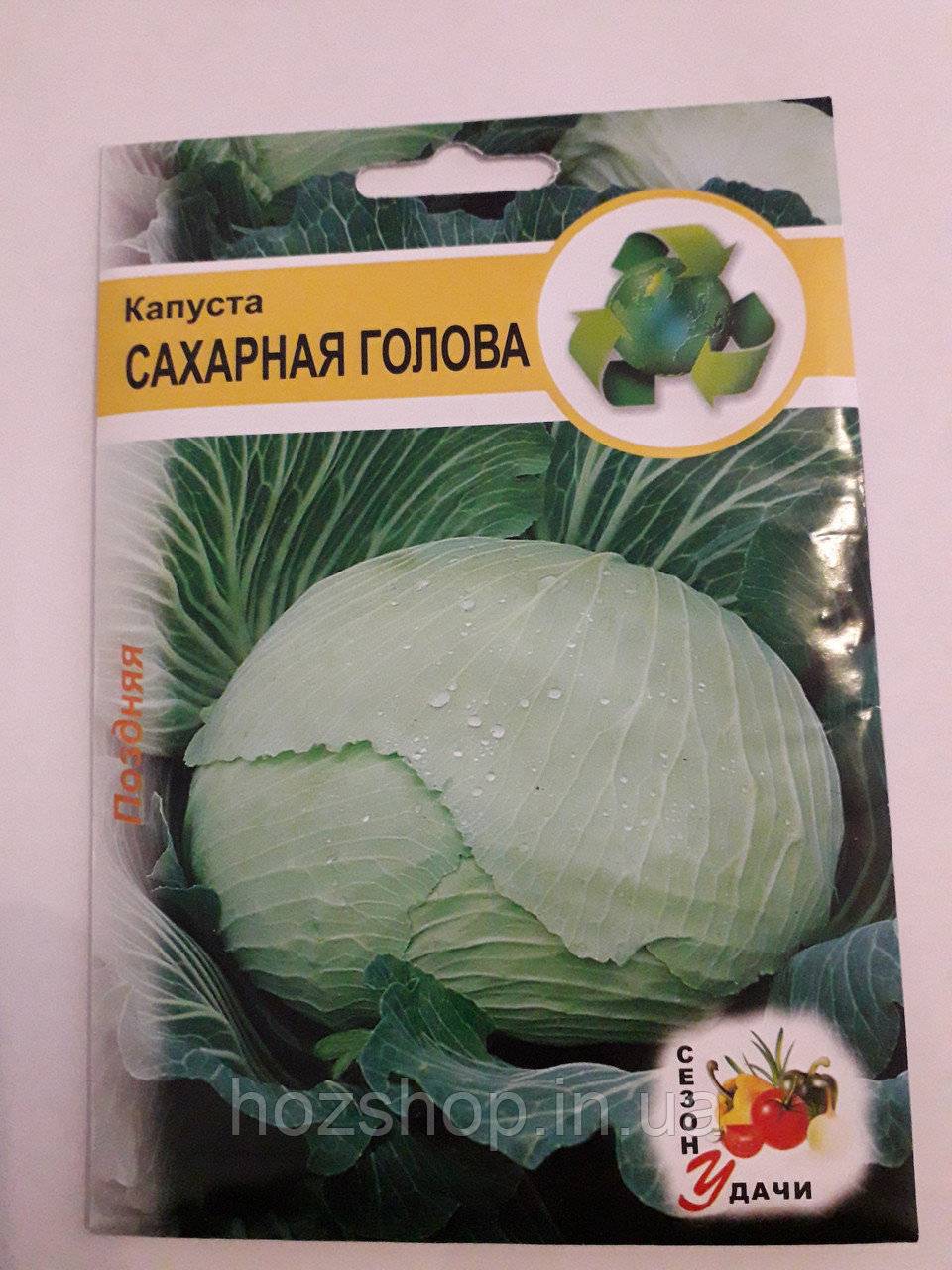 Капуста сорт сахарная голова