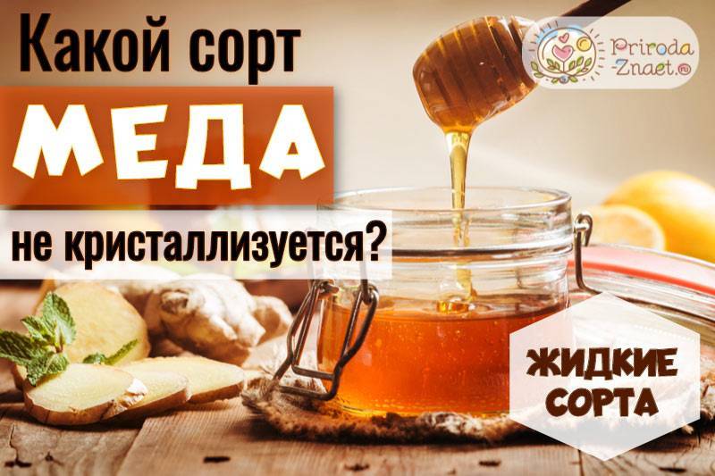 Должен ли засахариваться настоящий мед? развенчиваем мифы