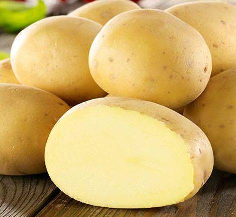 Самые лучшие сорта картофеля для посадки: список, описание сортов