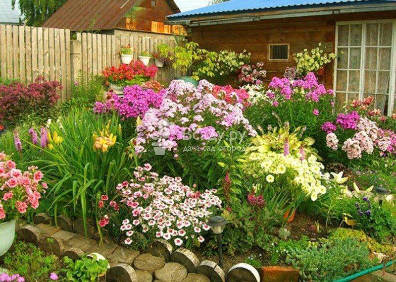 Красивый газон на даче своими руками с цветами