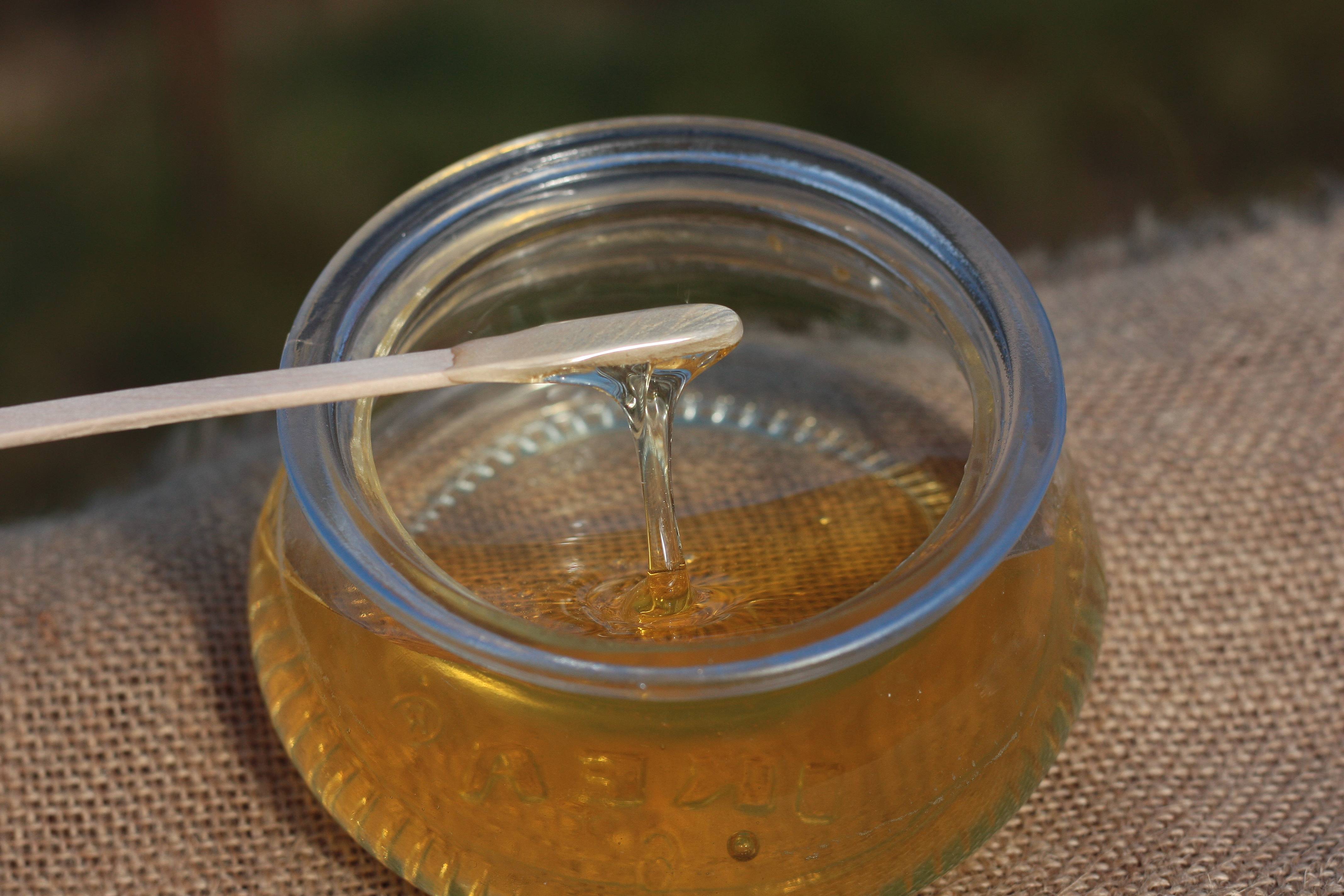 Кипрейный мед: польза, доказанная временем