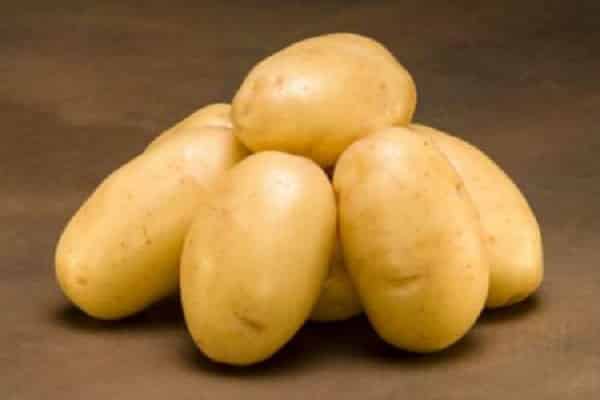 Лина: описание семенного сорта картофеля, характеристики, агротехника