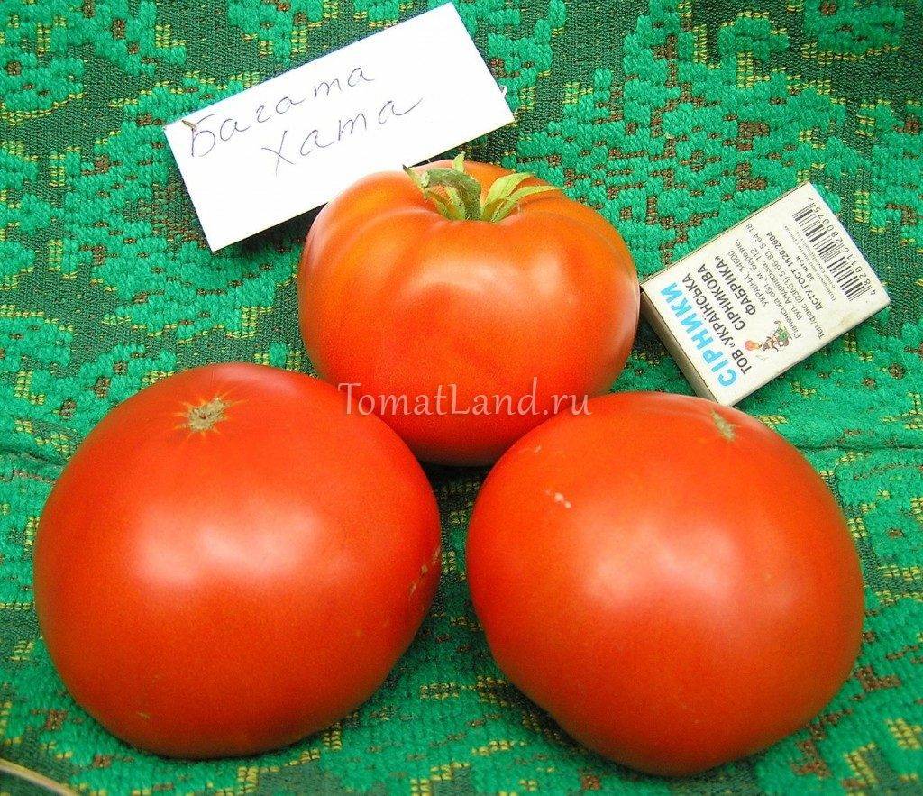 Богата хата: описание сорта томата, характеристики помидоров, посев
