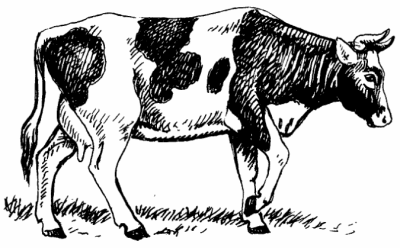 Сельскохозяйственные животные — википедия с видео // wiki 2