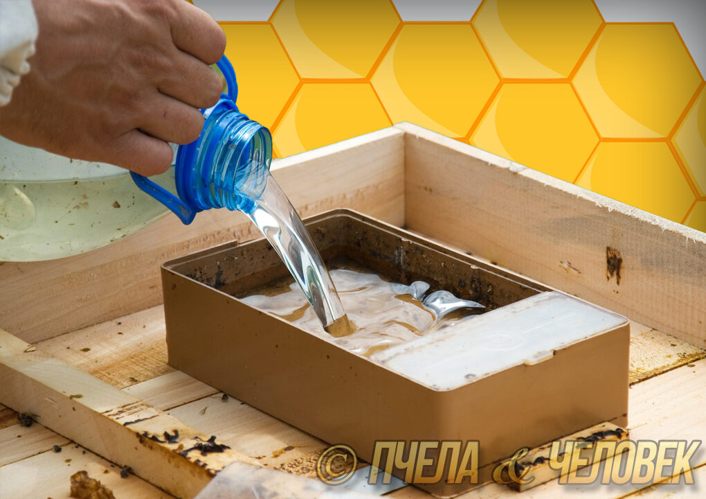 Как правильно подкармливать пчёл зимой?