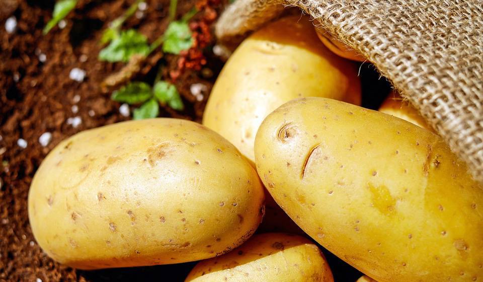 Как правильно хранить картофель в доме или квартире