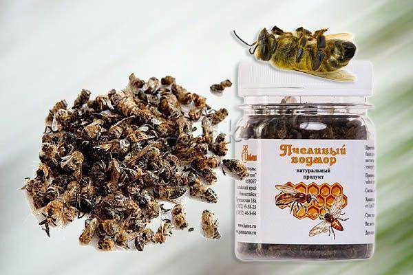 Пчелиный подмор – как принимать для суставов лекарство из мертвых пчел?