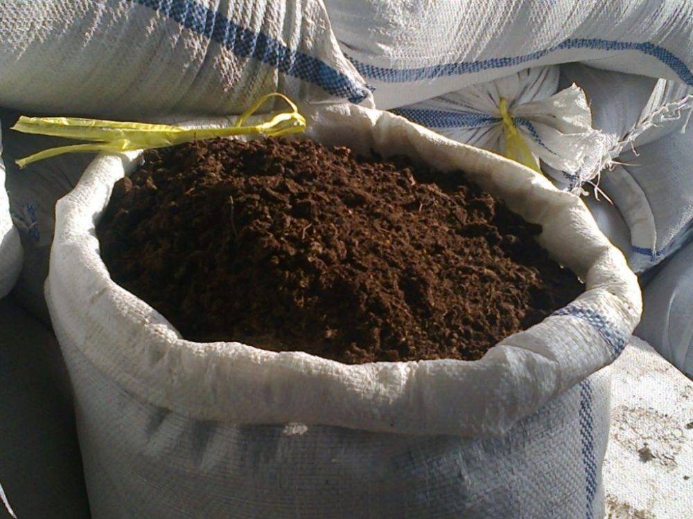 Как сделать компостную кучу из скошенной травы?