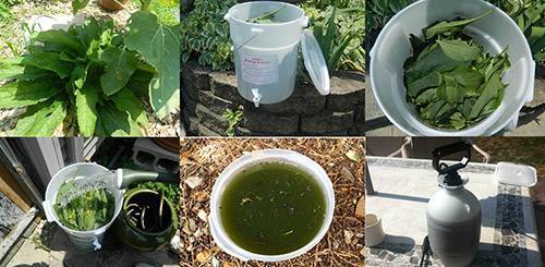 Жидкое зеленое удобрение из трав: как приготовить и использовать
