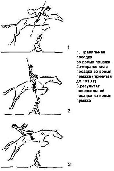 Как ездить на лошади: правила верховой езды