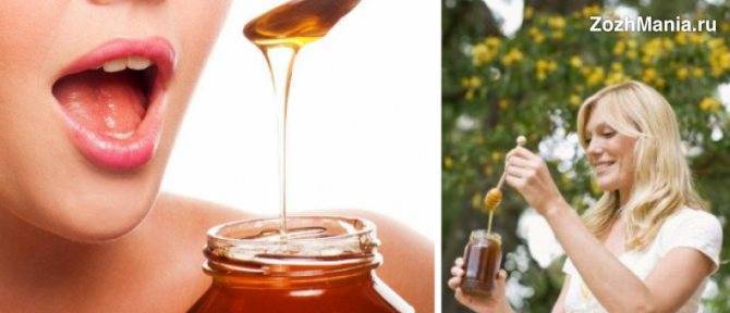 Гречишный мёд: полезные свойства и противопоказания