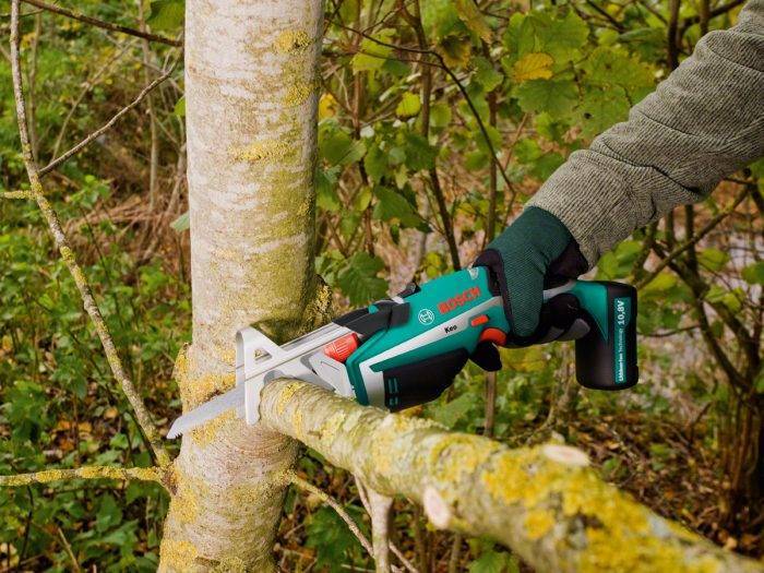 Пила для обрезки деревьев: как выбрать инструмент «по руке»?
