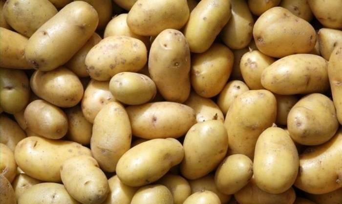 Описание сорта картофеля лаура
