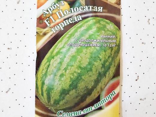 Все о выращивании арбуза в открытом грунте в средней полосе России: инструкция