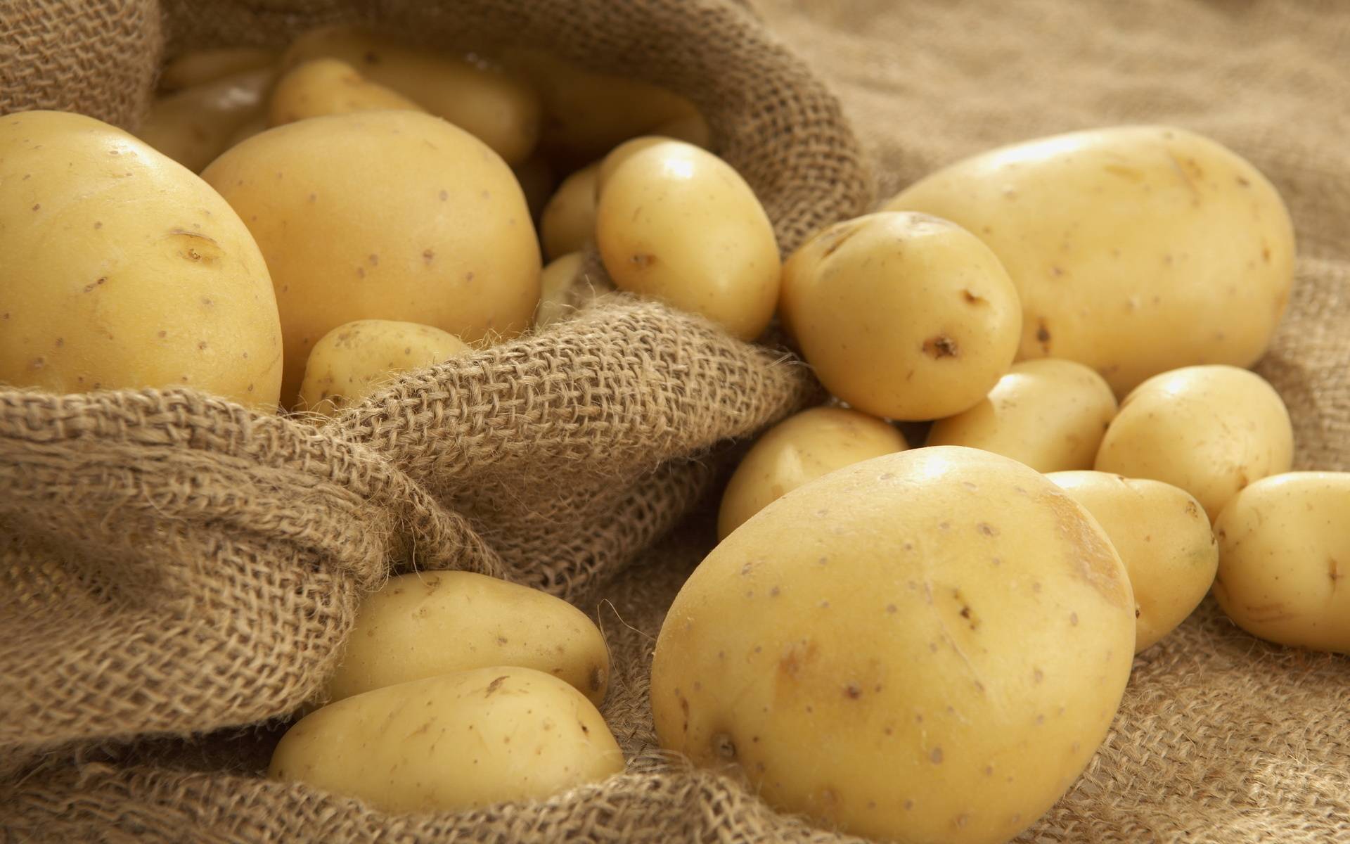 Картофель ривьера: прекрасные вкусовые качества и длительное хранение