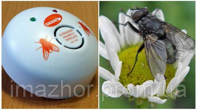 Отпугиватели мух: выбираем лучшее устройство от надоедливых насекомых