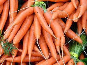 Как вырастить морковь в открытом грунте