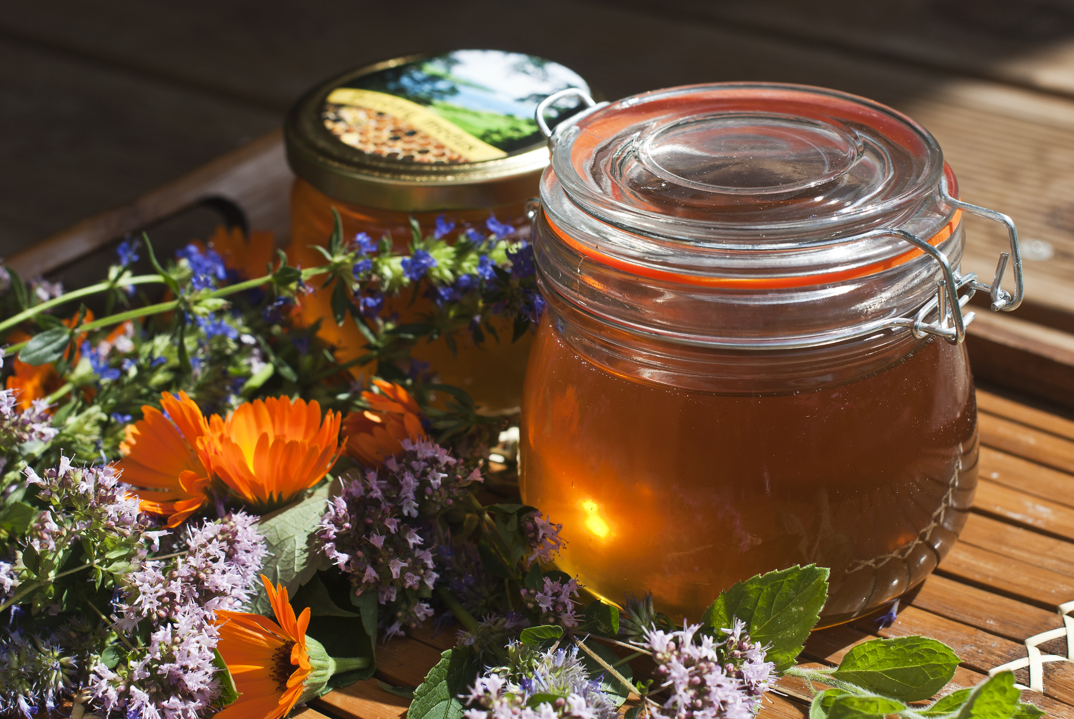 Горный мед (разнотравье) – полезные свойства и противопоказания, лечение медом