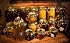 Как сделать медовуху в домашних условиях: 7 проверенных рецептов