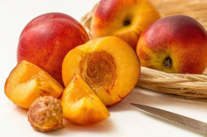 Как из косточки персика вырастить плодоносящее дерево в домашних условиях?