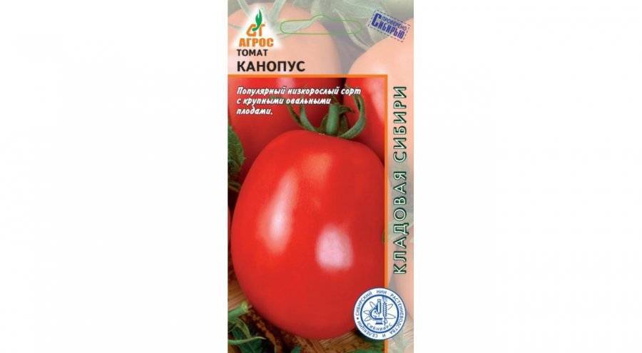 Томат "никола": характеристика и описание сорта, фото помидоров и особенности выращивания